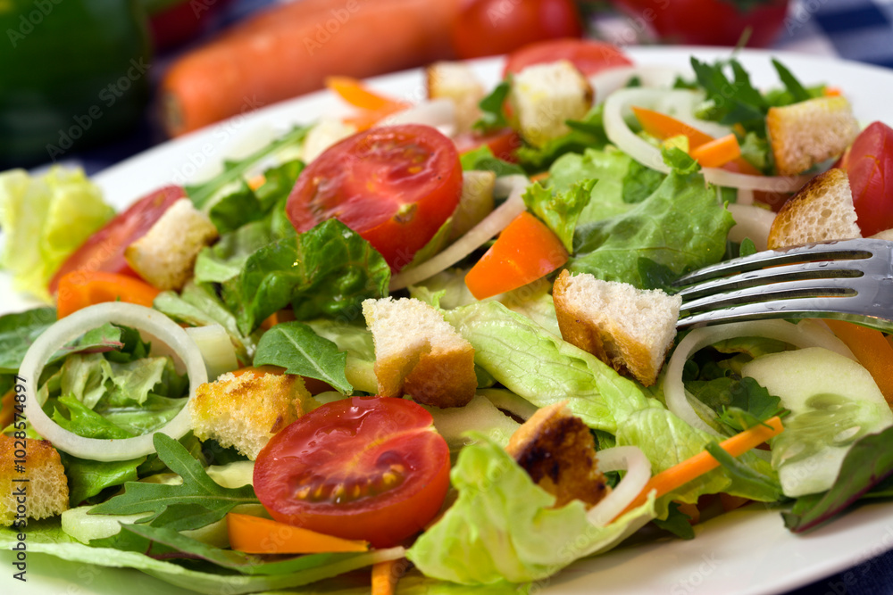 healthy and fresh mixed salad with tomato, croutons, orange bell pepper, onion rings, julienne carrot, cucumber slices healthy and fresh mixed salad with tomato, croutons, orange bell pepper, onion rings, julienne carrot, cucumber slices