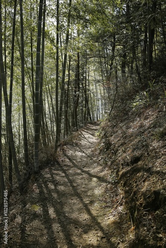 Scenic view of Zhuhai Scenic Area, Mukeng, Sichuan, China photo