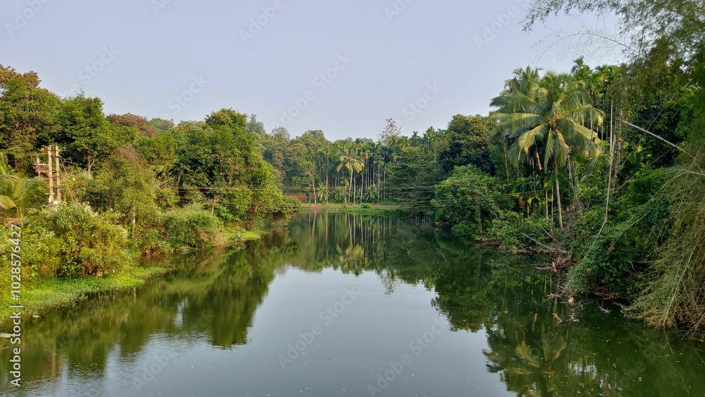 Obraz premium Serene river surrounded by lush green trees and vegetation under a clear sky in Karnataka, India