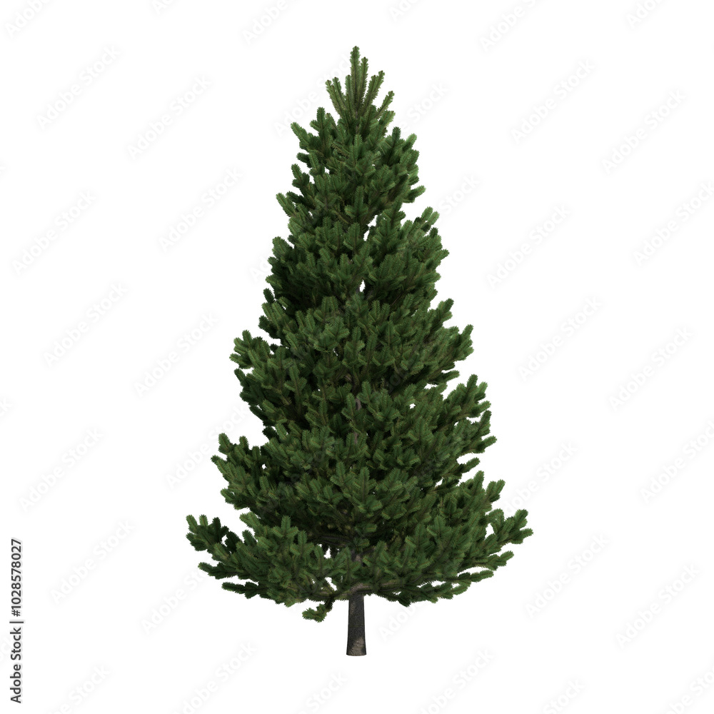 Obraz premium abstract tree isolated on transparent png background - 3D Illustration