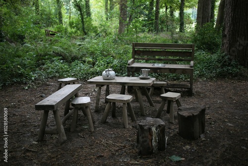 Rustic wooden furniture in a forest clearing