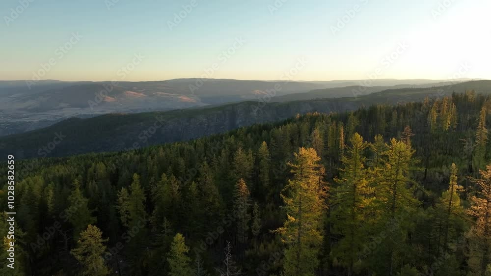 Aerial view of fall trees on a cliff at Myra Canyon Trestles during Sunrise in Kelowna, Canada Aerial view of fall trees on a cliff at Myra Canyon Trestles during Sunrise in Kelowna, Canada