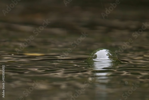 Single bubble on calm water surface with reflections and ripples.