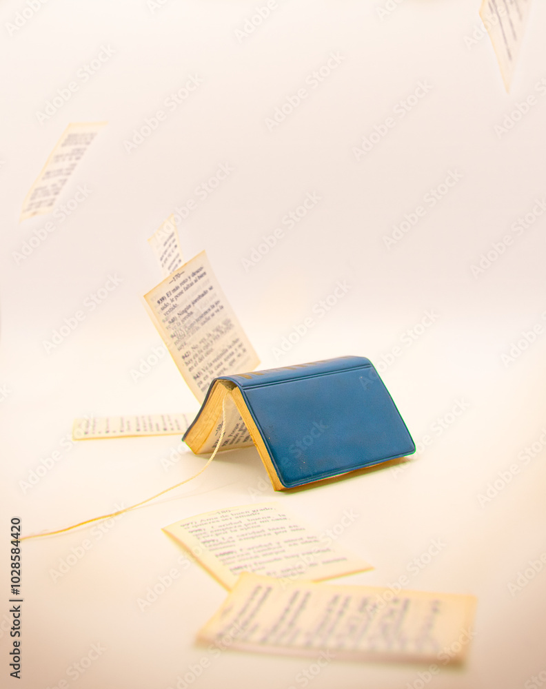 Obraz premium concept about books and education