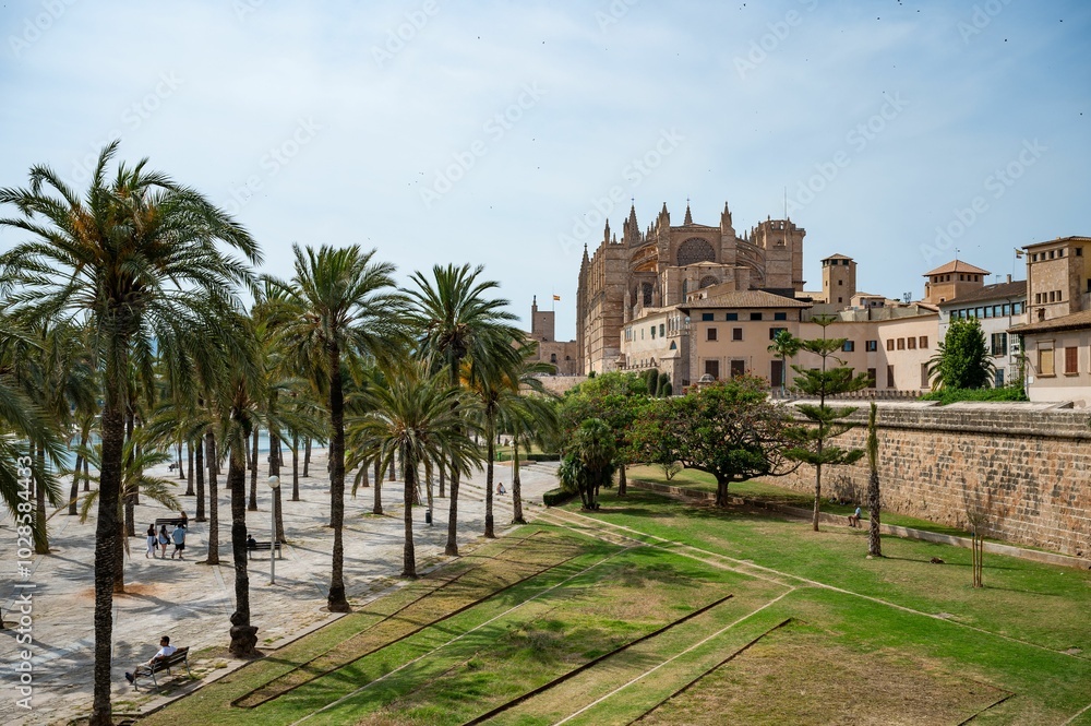 Fototapeta premium Scenic view of Palma Cathedral with palm trees in Palma de Mallorca