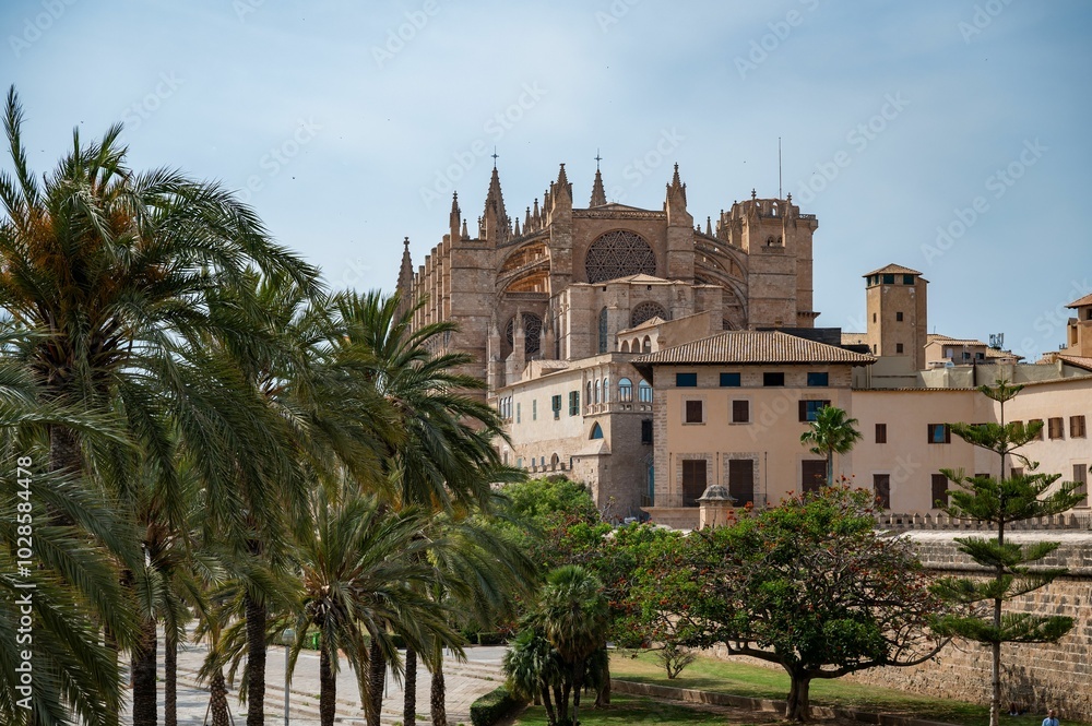 La Seu Cathedral in Palma de Mallorca with palm trees La Seu Cathedral in Palma de Mallorca with palm trees
