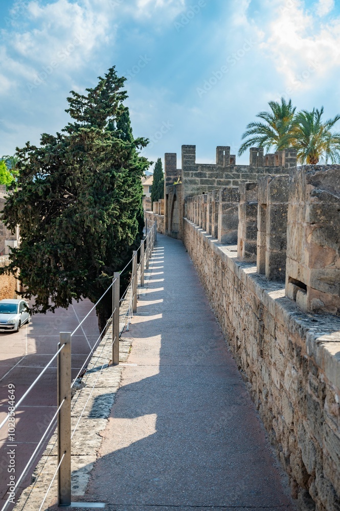 Fototapeta premium Stone walkway along a historic castle wall under a blue sky with trees and palm trees in Alcudia