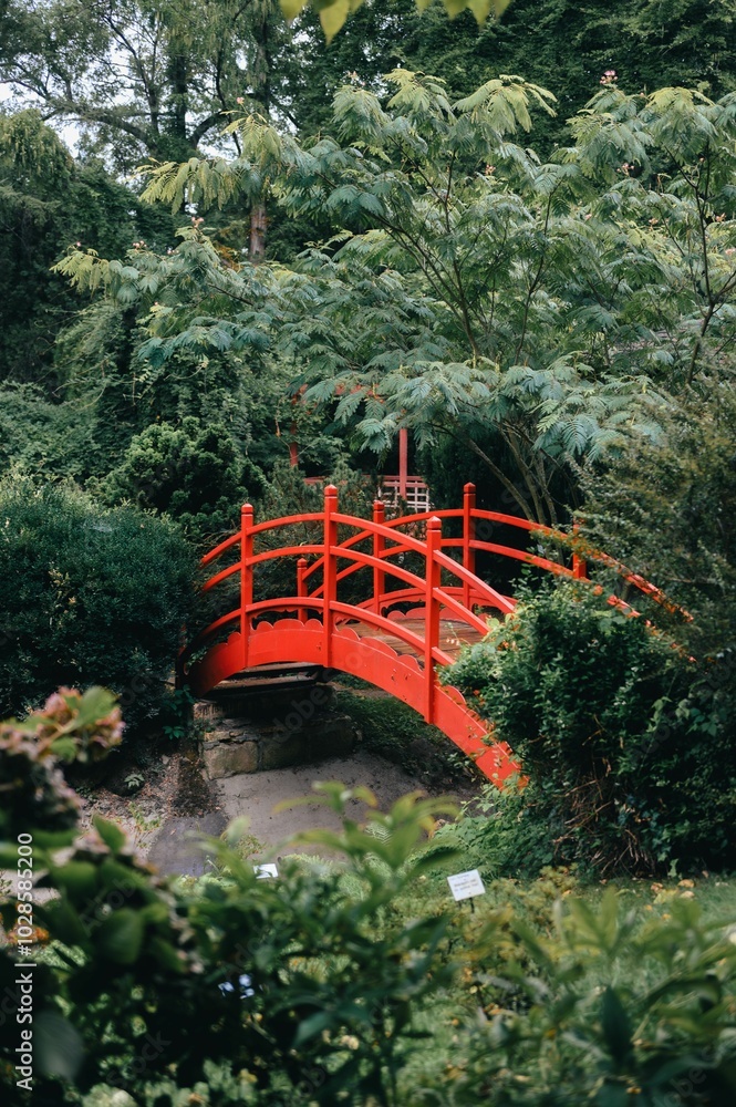 Red bridge in a lush garden Red bridge in a lush garden