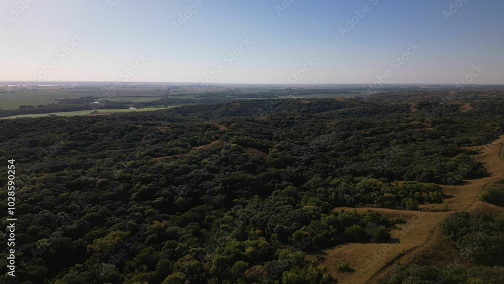 Aerial view of a vast forest landscape with a clear blue sky in the background. Aerial view of a vast forest landscape with a clear blue sky in the background.