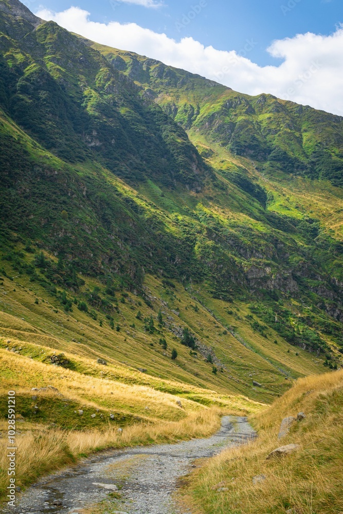 Scenic mountain path with lush green slopes and a clear blue sky in the background. Scenic mountain path with lush green slopes and a clear blue sky in the background.