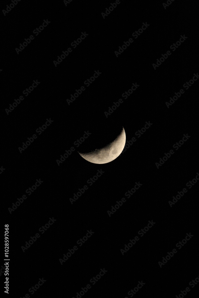 A wonderful shoot of a crescent moonlight A wonderful shoot of a crescent moonlight