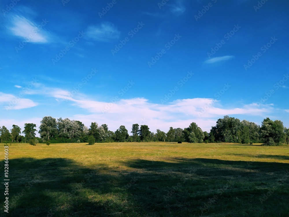 field and blue sky