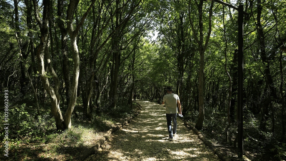 Man walking on a forest path Man walking on a forest path