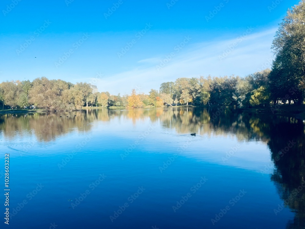autumn trees reflection on the lake surface, blue lake reflection, golden autumn, lake in the park with quiet water as a mirror autumn trees reflection on the lake surface, blue lake reflection, golden autumn, lake in the park with quiet water as a mirror