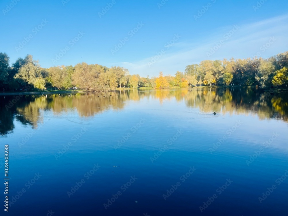 autumn trees reflection on the lake surface, blue lake reflection, golden autumn, lake in the park with quiet water as a mirror autumn trees reflection on the lake surface, blue lake reflection, golden autumn, lake in the park with quiet water as a mirror
