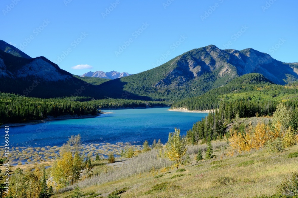View of a tranquil Barrier lake surrounded by lush green mountains and trees under a clear blue sky. View of a tranquil Barrier lake surrounded by lush green mountains and trees under a clear blue sky.