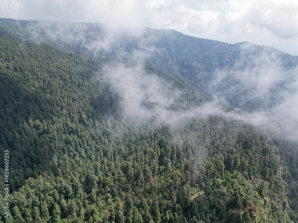 Aerial view of misty forest and mountain landscape Aerial view of misty forest and mountain landscape