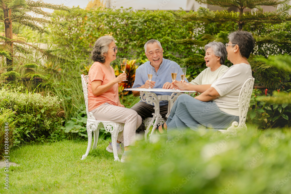 A group of elderly friends enjoy an animated conversation at an outdoor garden table, sipping drinks and sharing stories. Their joyful interaction promotes companionship, social engagement. A group of elderly friends enjoy an animated conversation at an outdoor garden table, sipping drinks and sharing stories. Their joyful interaction promotes companionship, social engagement.