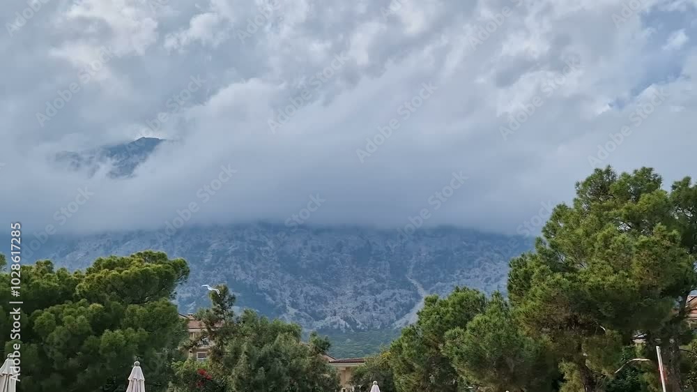 A white seagull soaring in the mountains covered with green forests. A summer day. A white seagull soaring in the mountains covered with green forests. A summer day.