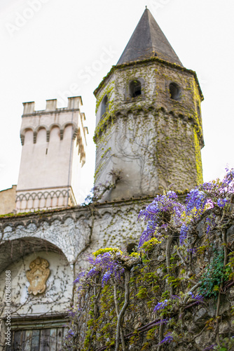 Obraz na płótnie Wisteria in bloom on the vines of a villa in Ravello on the Amalfi coast w salonie