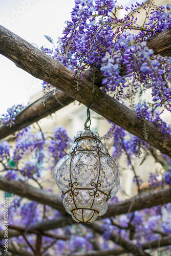 Obraz na płótnie Wisteria in bloom on the vines of a villa in Ravello on the Amalfi coast w salonie