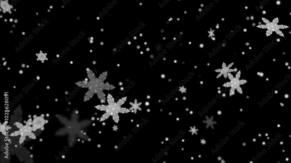 White Christmas A Celebration of Snow White Christmas A Celebration of Snow