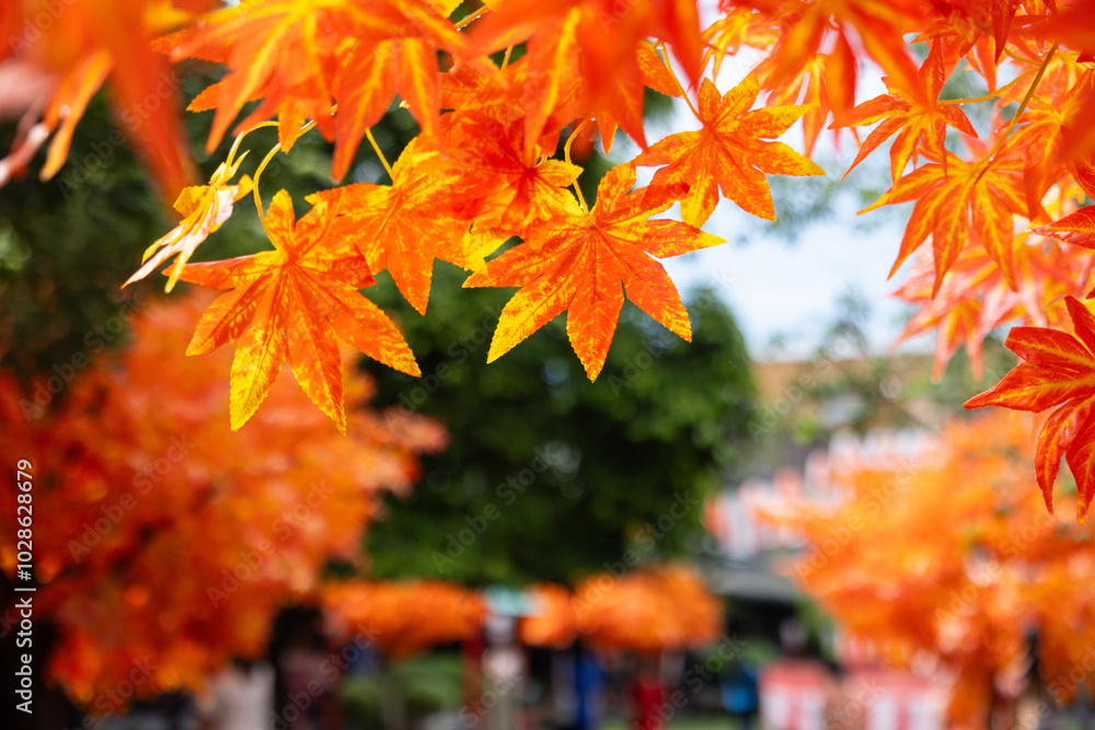 A tree with fake orange leaves is in the foreground A tree with fake orange leaves is in the foreground