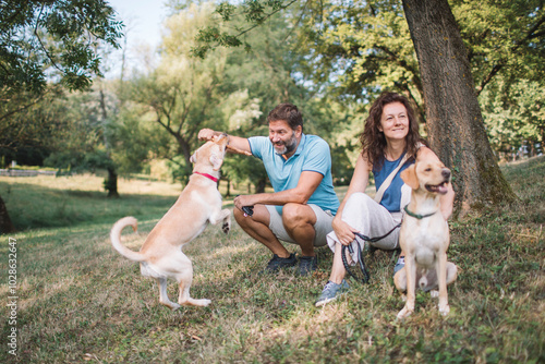 Photography Playing with dogs in the park