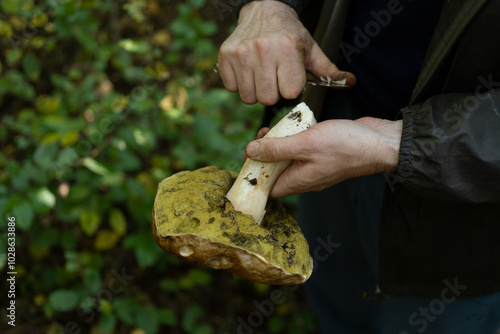 man holding mushroom in his hand and cleaning it with a knife