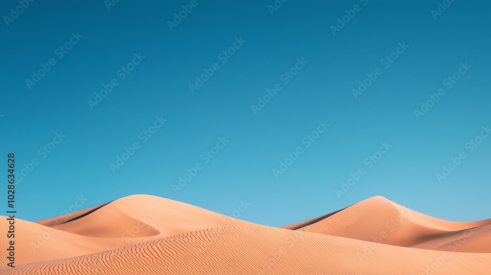 Vast Desert Landscape with Golden Sand Dunes and Clear Blue Sky in Minimalist Composition Vast Desert Landscape with Golden Sand Dunes and Clear Blue Sky in Minimalist Composition