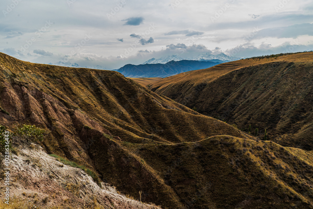 Stunning mountain landscape with dramatic ridges and valleys, covered in golden autumn grasses under a cloudy sky. The distant blue mountains and dynamic light create a breathtaking view of nature' Stunning mountain landscape with dramatic ridges and valleys, covered in golden autumn grasses under a cloudy sky. The distant blue mountains and dynamic light create a breathtaking view of nature'