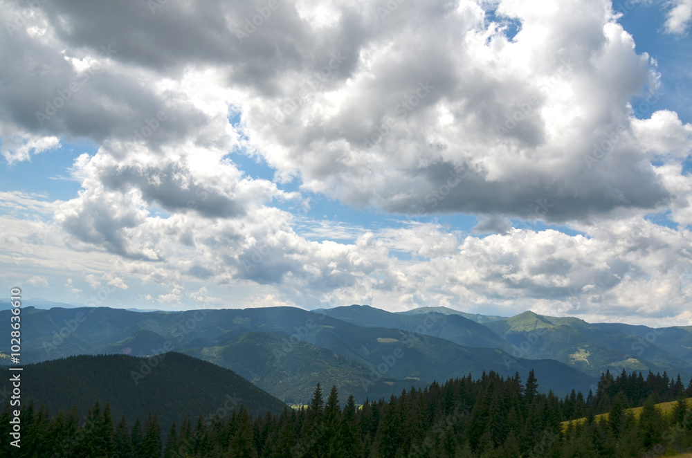 Obraz premium View of mountain ridge blanketed with dense forests under a dynamic sky filled with cumulus clouds. The interplay of light and shadow adds depth and highlights the vastness of the natural terrain