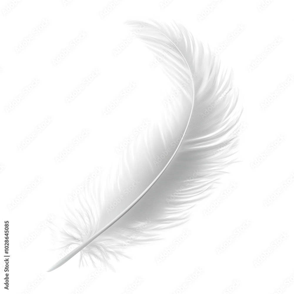 Obraz premium A white feather isolated on a transparent background