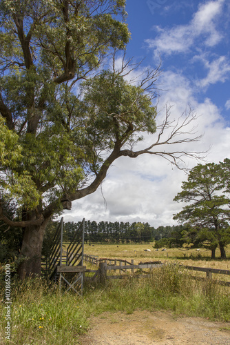 Serene scene of a country landscape at Bowral, Southern Highlands NSW Australia