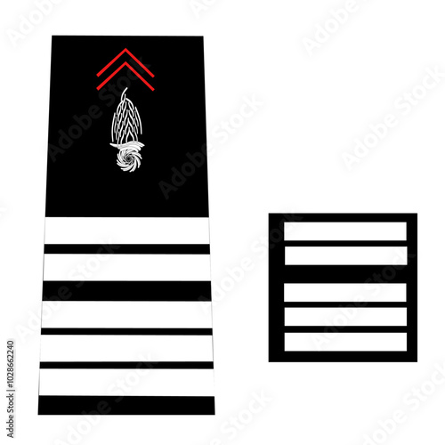 Galon de l'armée de terre française: Sapeur-Pompier du civil: Officier supérieur: Colonel