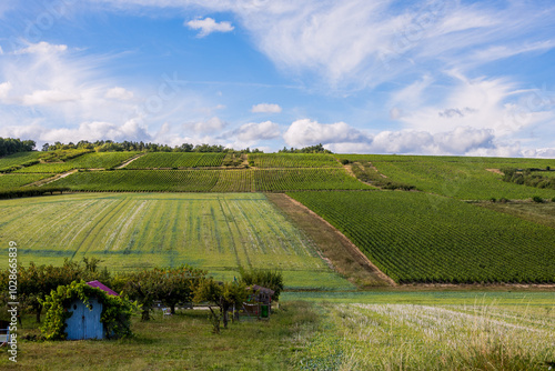 Obraz na płótnie Paysage de la campagne française en Bourgogne France Conté w salonie