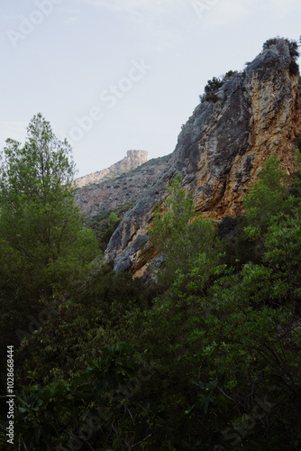 view of the mountain