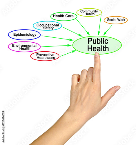 Seven Drivers of Public Health