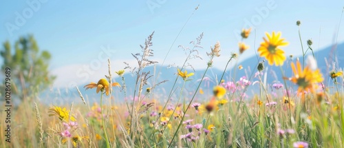 A vibrant meadow on a sunny day, filled with wildflowers swaying gently in the breeze against a backdrop of distant mountains and a clear blue sky.