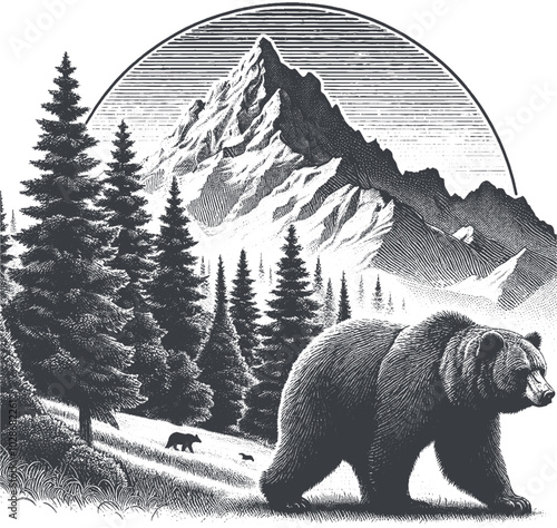 bear vector, bear silhouette, bear illustrations 