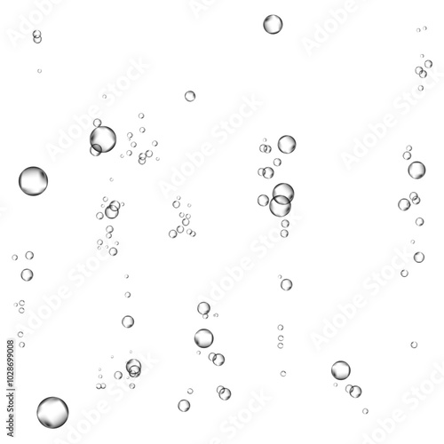 Oxygen air bubbles  flow  in water on white  background.