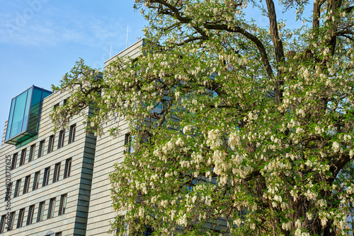 Modern eco friendly office buildings with green trees. Contemporary minimalist architecture. Modern architectural design with greenery for fresh air
