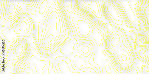 Wave paper curved relief background. Blank topographic contour map subtle. Topographic line map. Modern design with White background with topographic wavy pattern design. 