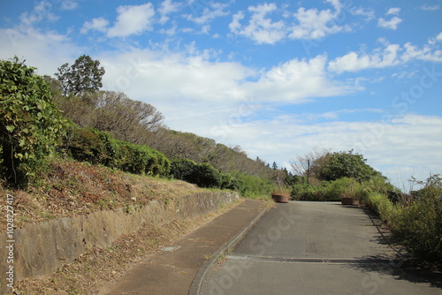 湯河原 ハイキング