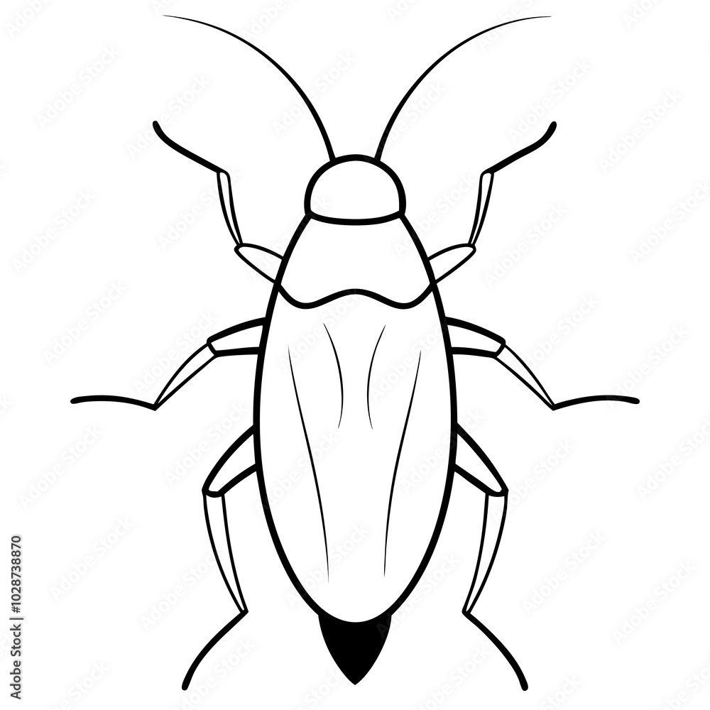 Cockroach-insect-vector-on-white-background
Cockroach-insect-vector-on-white-background