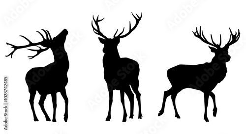 Silhouettes, Deer Silhouettes, Red Deer, Reindeer, Black, Animal, Wild