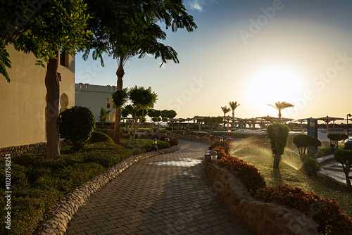 Sharm El Sheikh. Egypt. Beautiful sunset on the hotel grounds. Sunlight. Green grass.