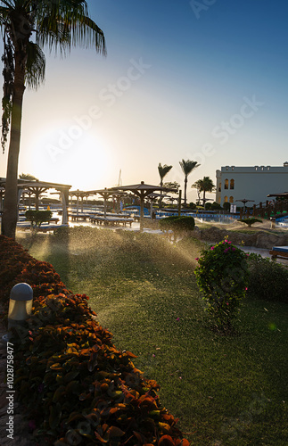 Sharm El Sheikh. Egypt. Beautiful sunset on the hotel grounds. Sunlight. Green grass.