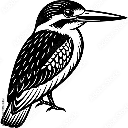 illustration of a kingfisher photo