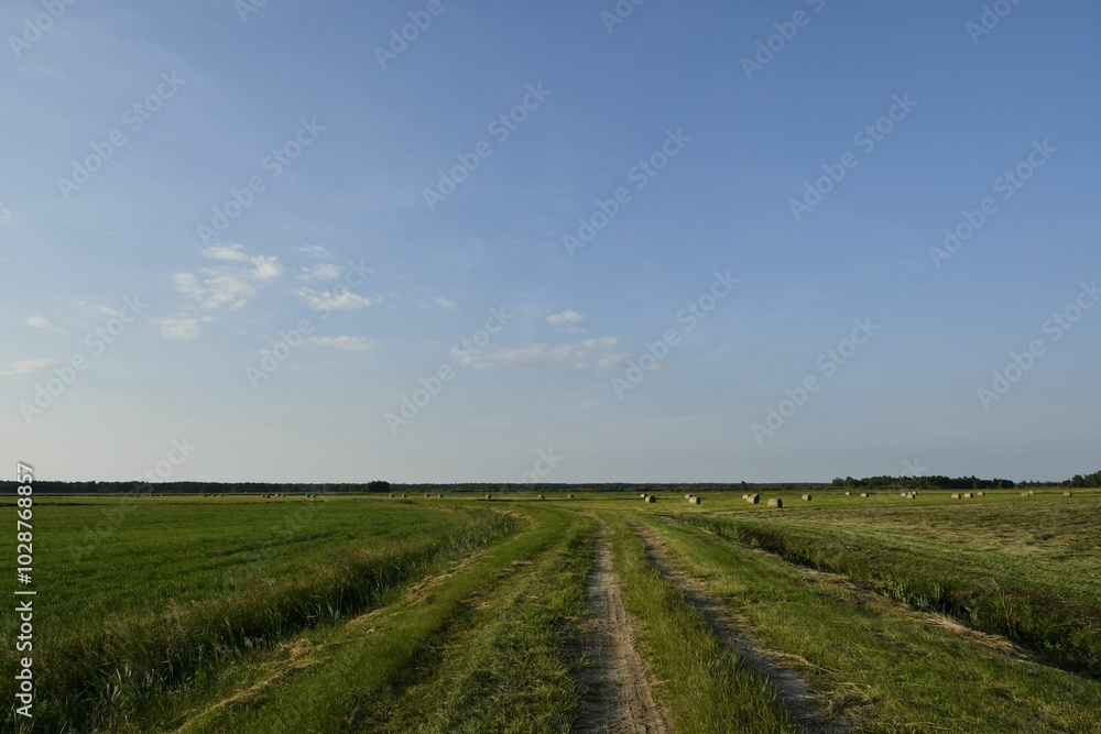 Rural landscape with dirt road and hay bales Rural landscape with dirt road and hay bales